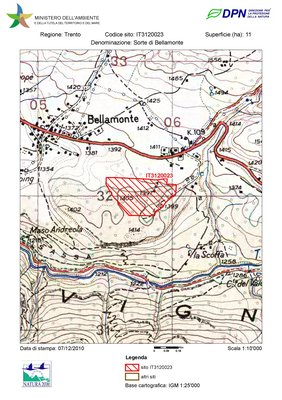 IT3120023 / Sorte di Bellamonte