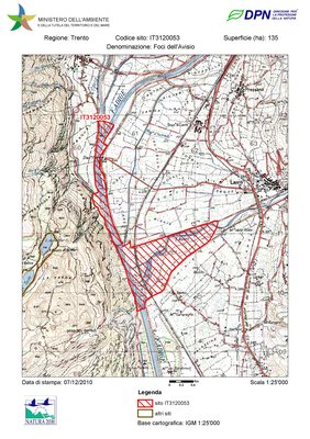 IT3120053 / Foci dell'Avisio