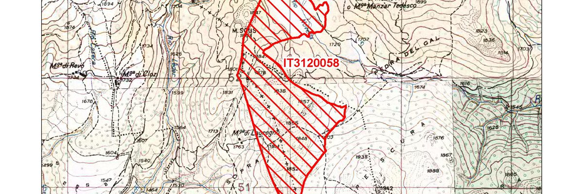 IT3120058 / Torbiere di Monte Sous