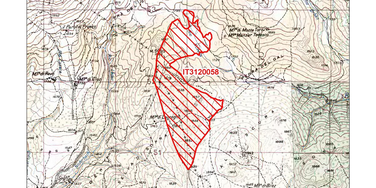 IT3120058 / Torbiere di Monte Sous