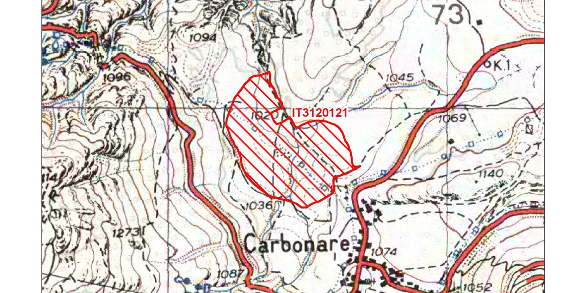 IT3120121 / Carbonare