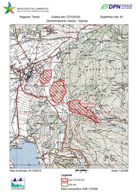 IT3120123 / Assizzi - Vignola