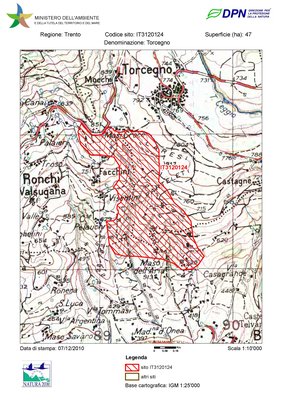 IT3120124 / Torcegno