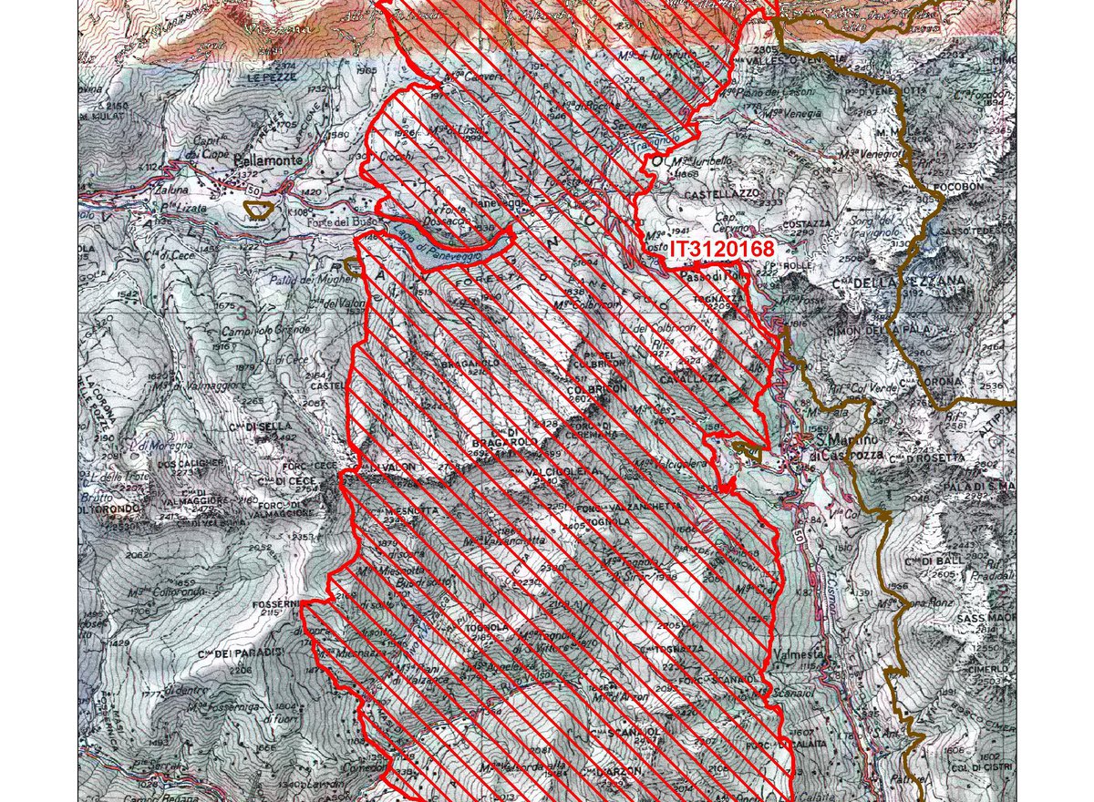 IT3120168 / Lagorai Orientale - Cima Bocche