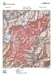 IT3120175 / Adamello