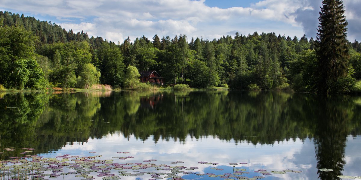 Lago di Cei.jpg