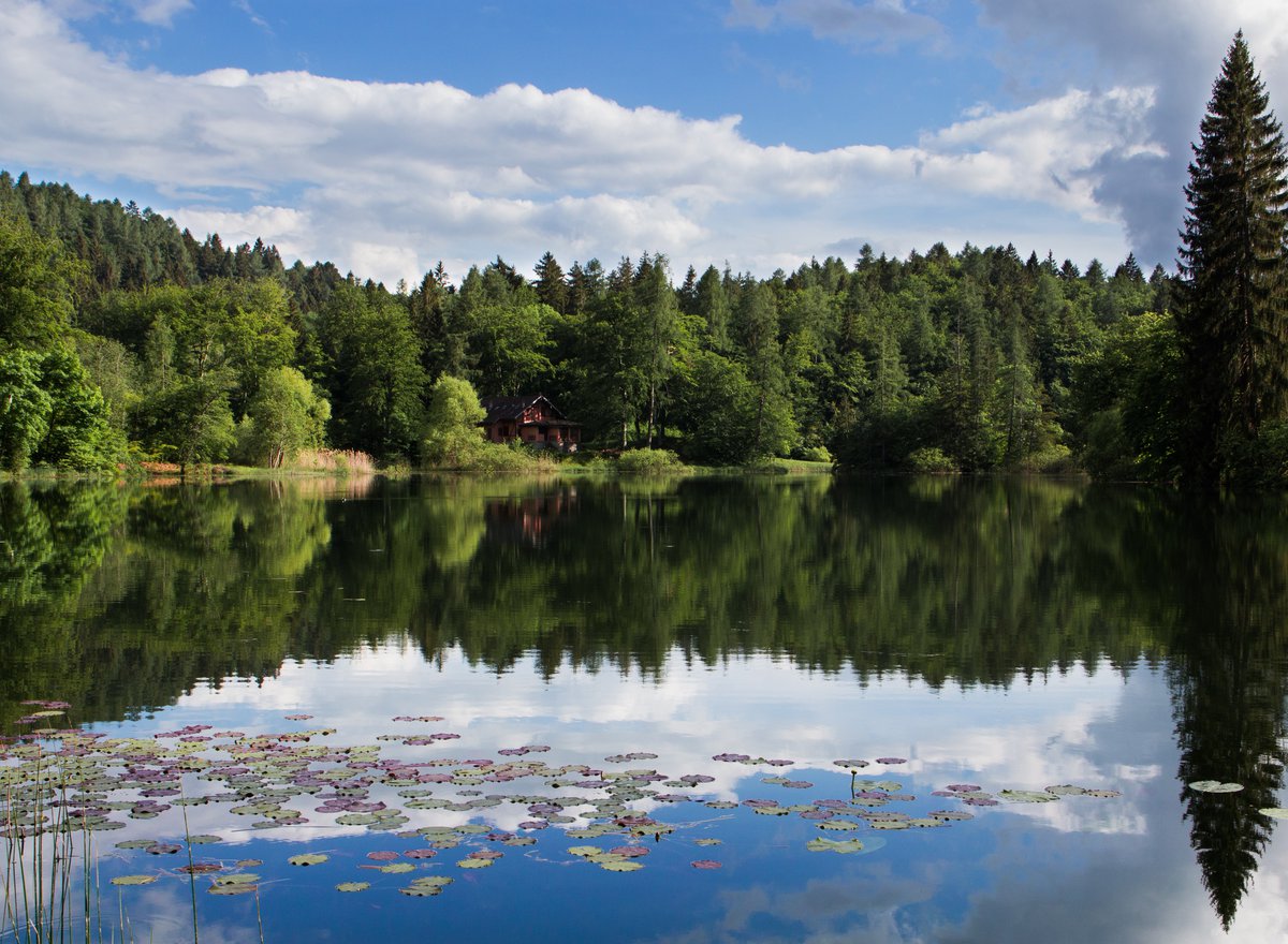 Lago di Cei.jpg