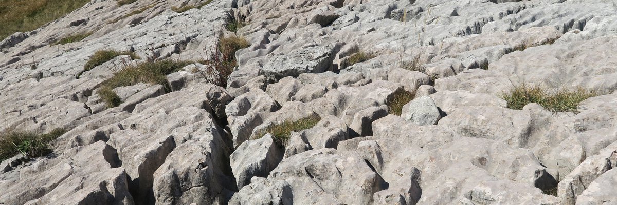Pavimenti calcarei