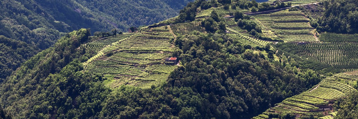 Rete di Riserve Cembra