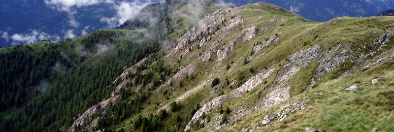 Rete di Riserve Fiemme-Destra Avisio