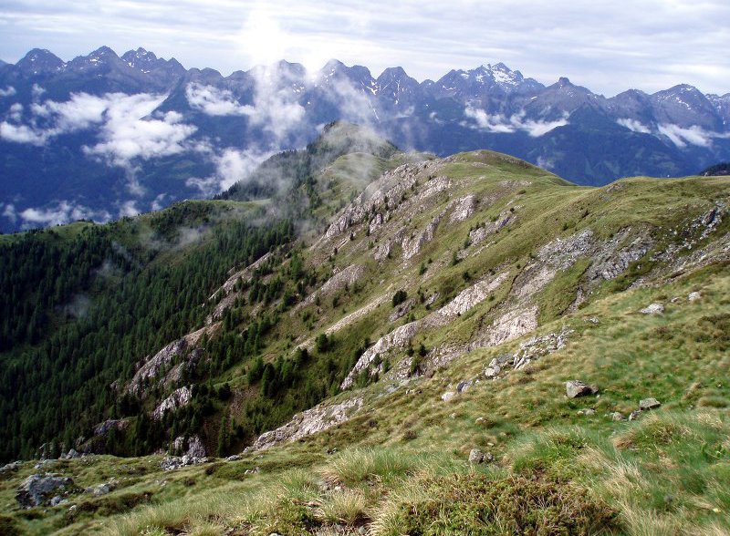 Rete di Riserve Fiemme-Destra Avisio