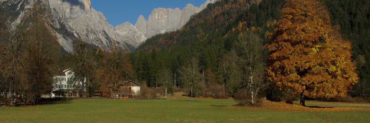 willa_welsperg_paneveggio_parco (1).JPG